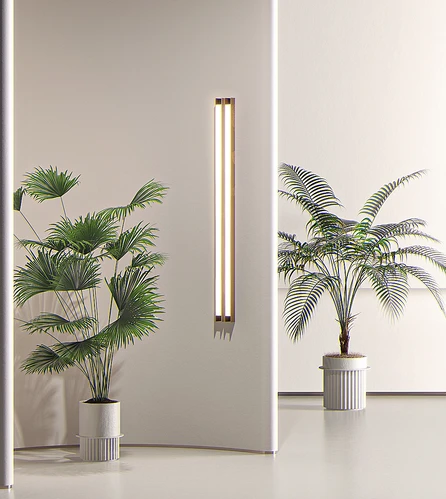 现代绿植盆栽