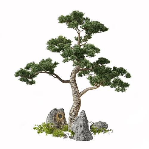 现代树木
