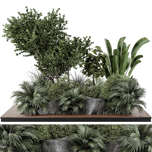 现代植物堆