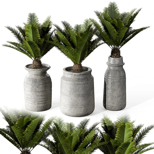 现代绿植盆栽