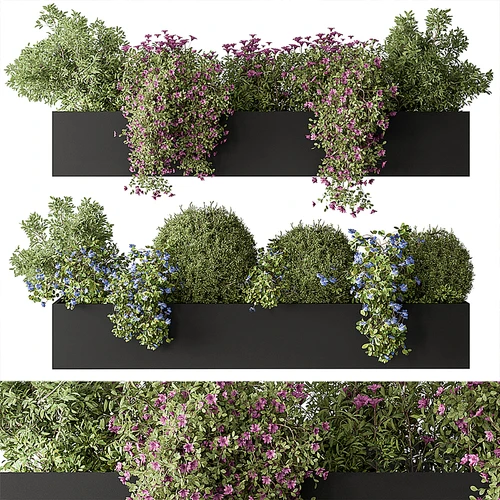 现代植物花圃