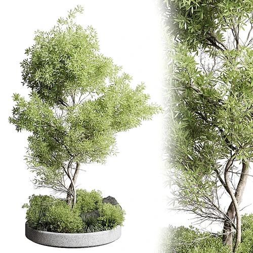 植物花坛