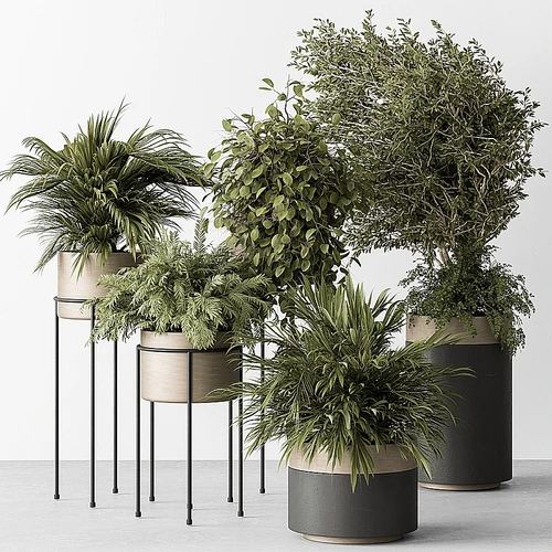 现代植物盆栽