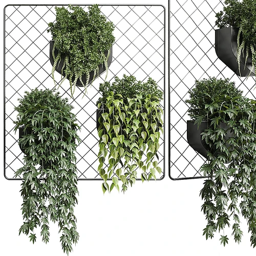 现代绿植吊篮