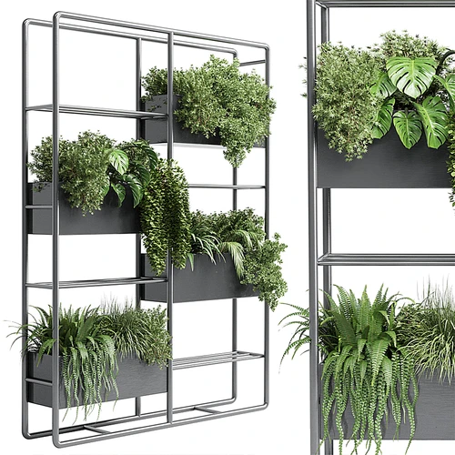 现代植物盆栽