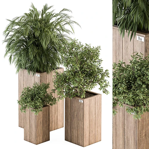 现代植物盆栽