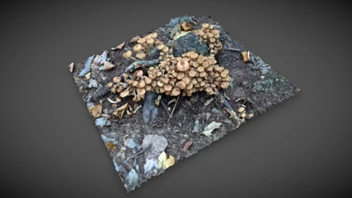 现代蘑菇群3D模型
