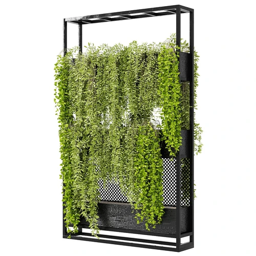 现代植物架