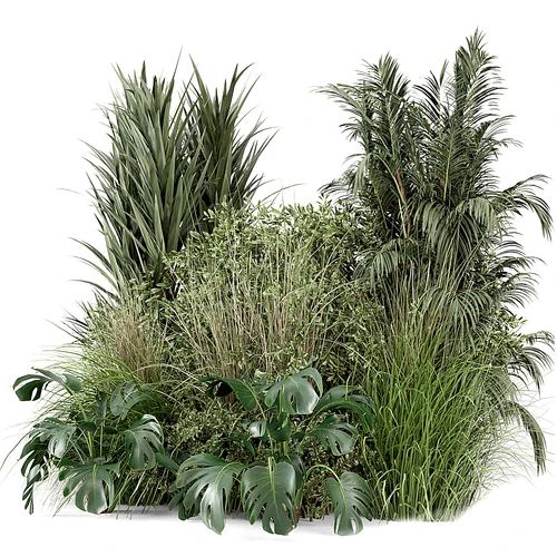 现代植物堆