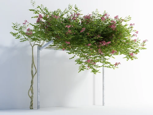 现代风格藤蔓花卉