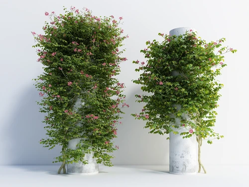 现代风格藤蔓花卉
