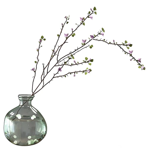 现代水生植物