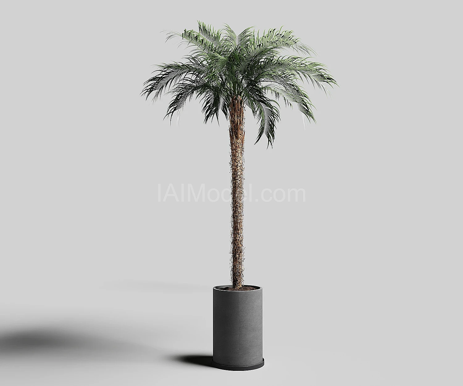 img2