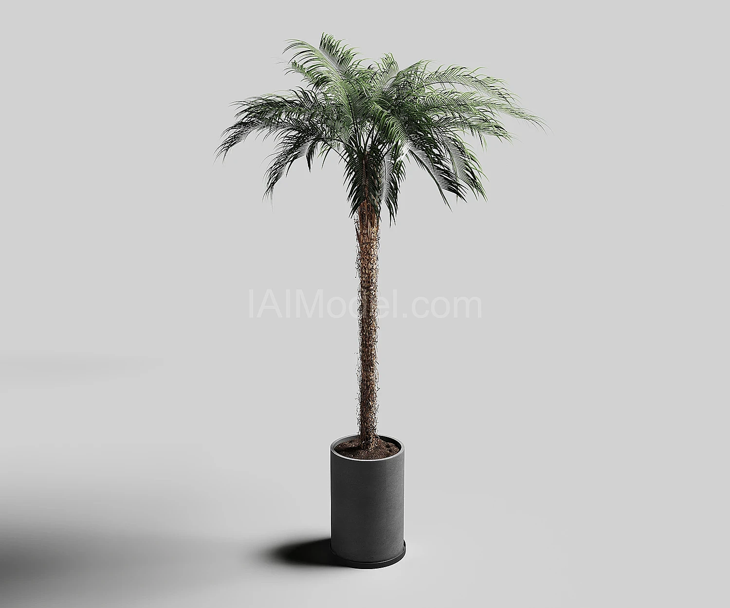 img3