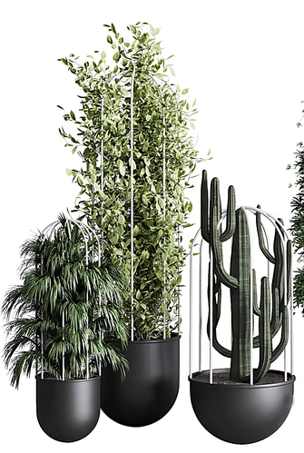 现代绿植盆栽