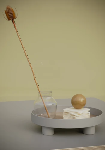 MUUTO PLATFORM储物托盘