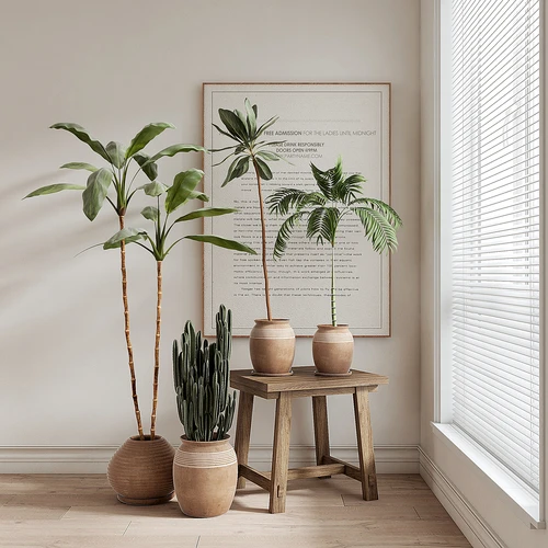 植物盆栽