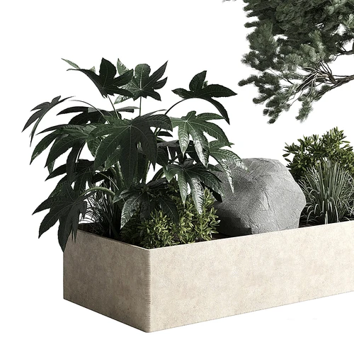现代绿植盆栽