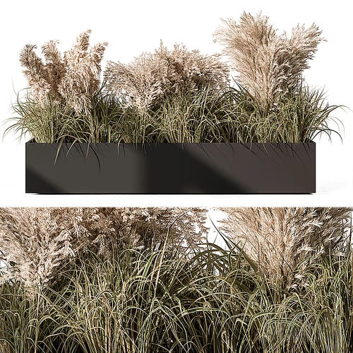 现代植物盆栽