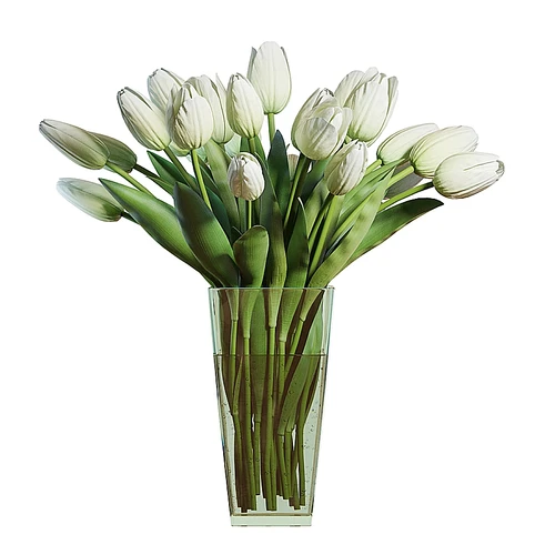 白色郁金香花束
