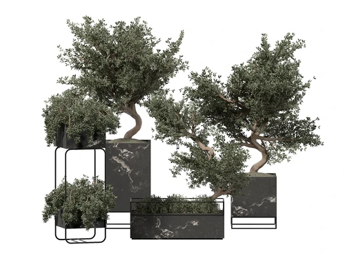 现代绿植盆栽