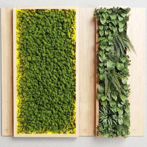 现代植物墙