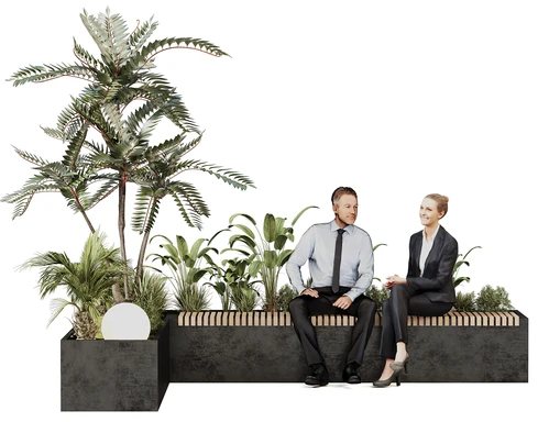 现代植物景观