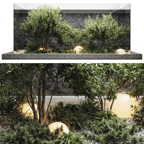 现代绿植景观