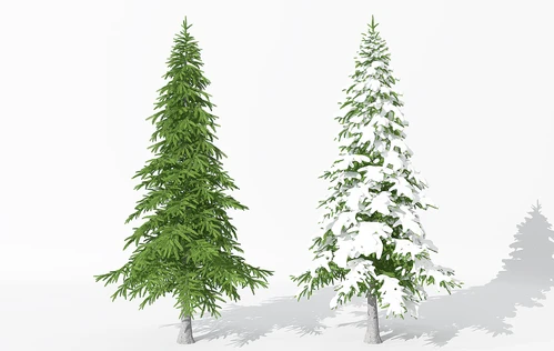 现代景观植物树