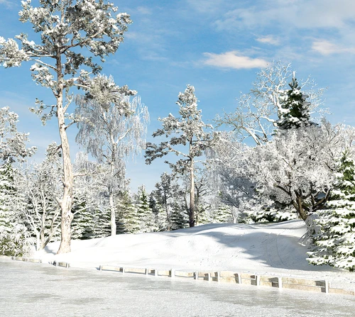 现代树林雪景树