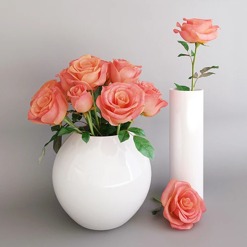 Roses 6 现代鲜花