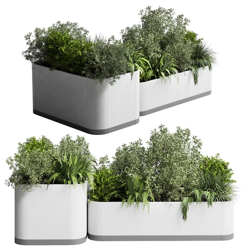 现代植物盆景盆栽