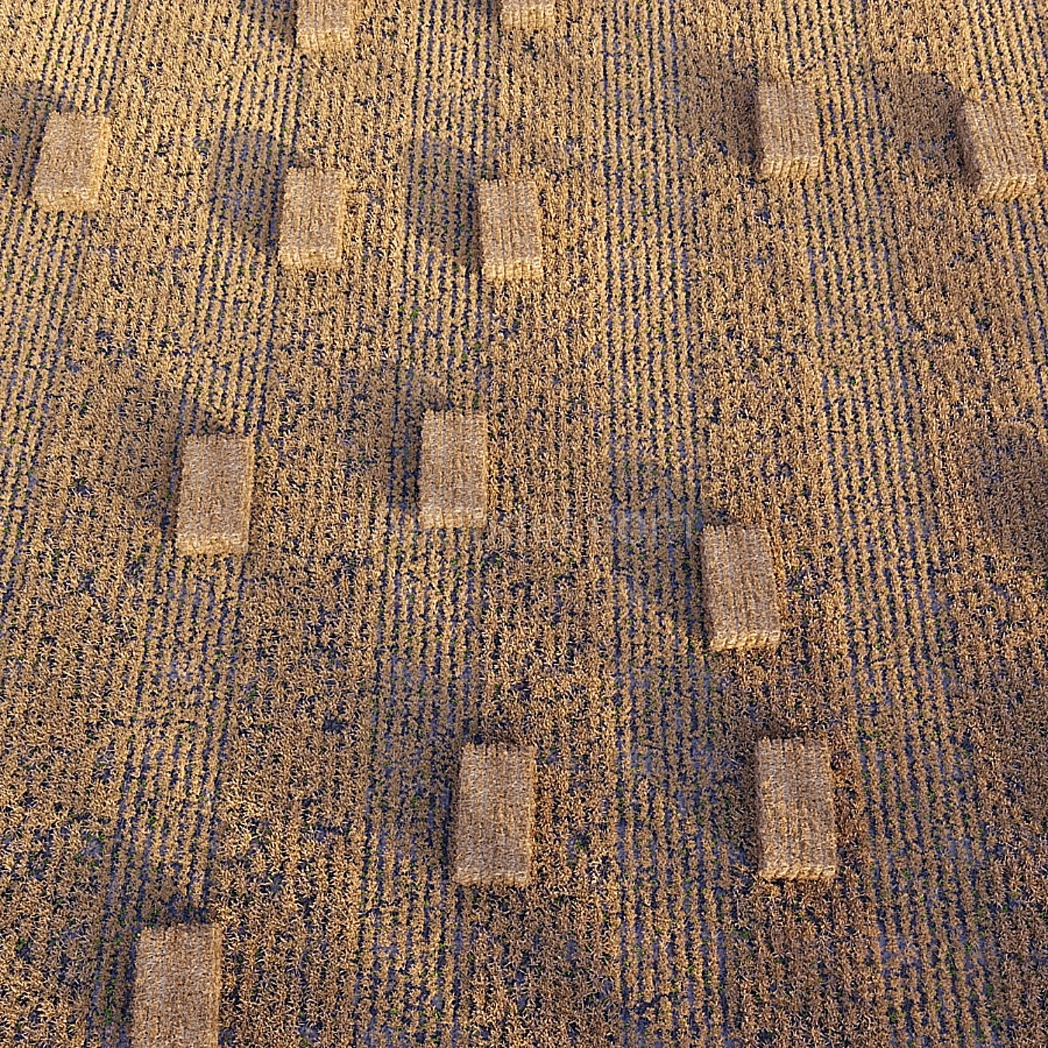 img3