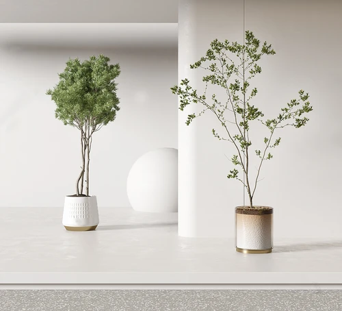 现代绿植盆栽