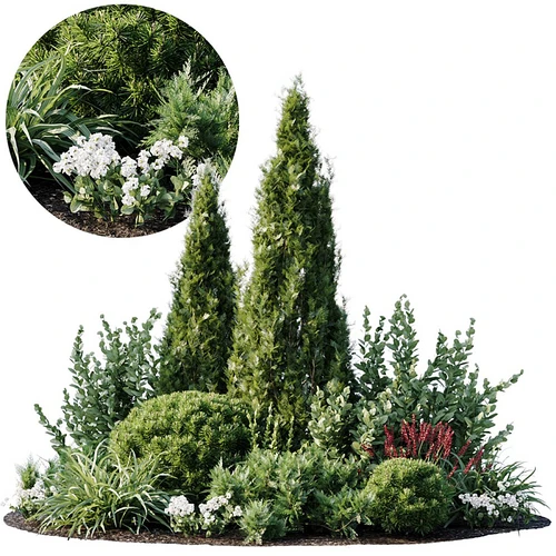 现代植物堆