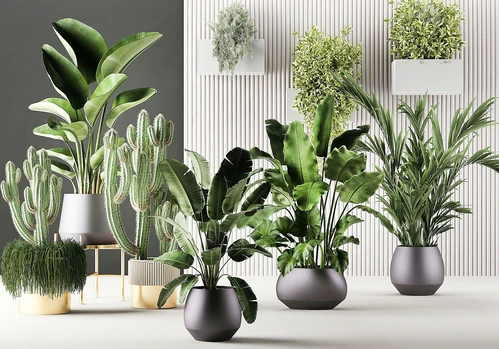 现代植物花草绿植花草组合