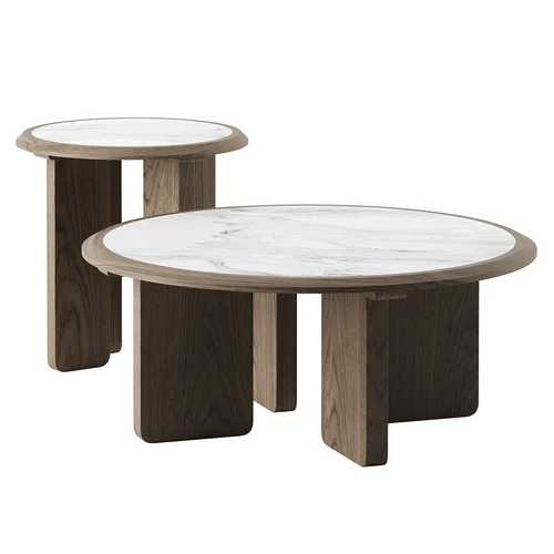 Roche Bobois 现代茶几