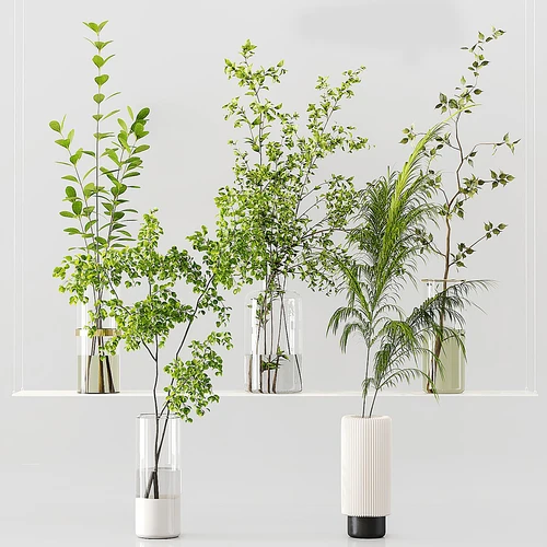 现代水生植物