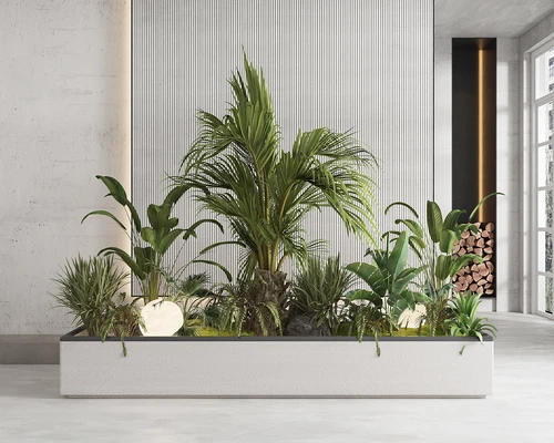 现代绿植盆栽