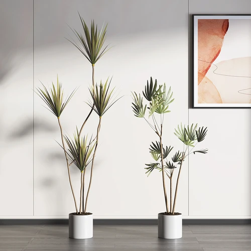 现代植物盆栽