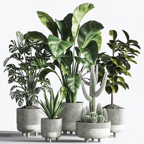 现代绿植植物