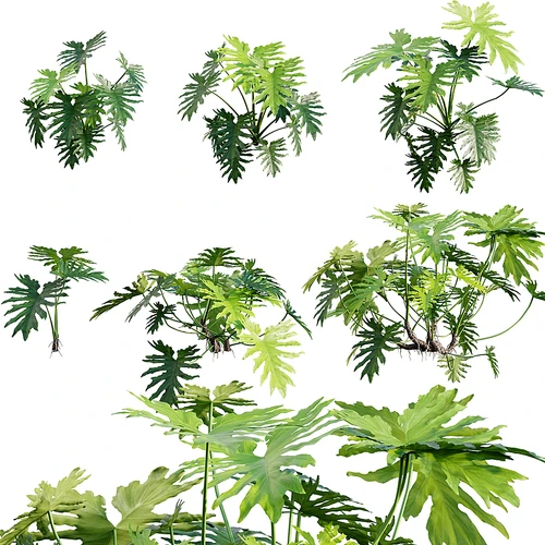 3dtree现代植物花草