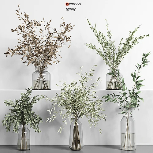 现代植物组合
