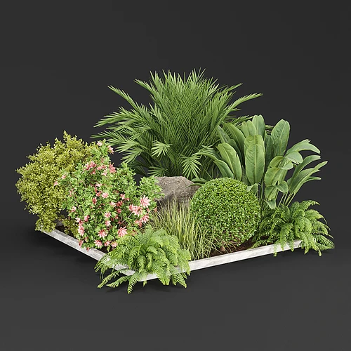 现代灌木植物