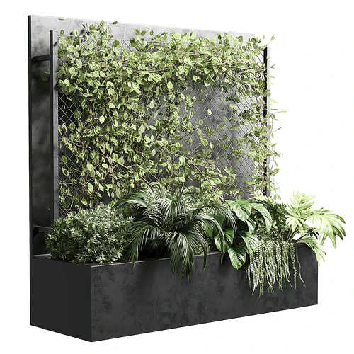 现代植物墙