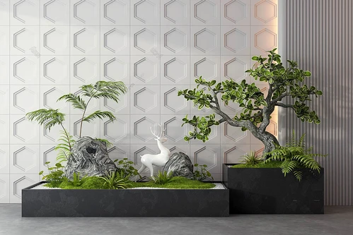 现代室内盆栽造景
