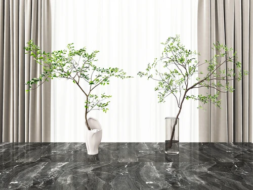 现代植物摆件