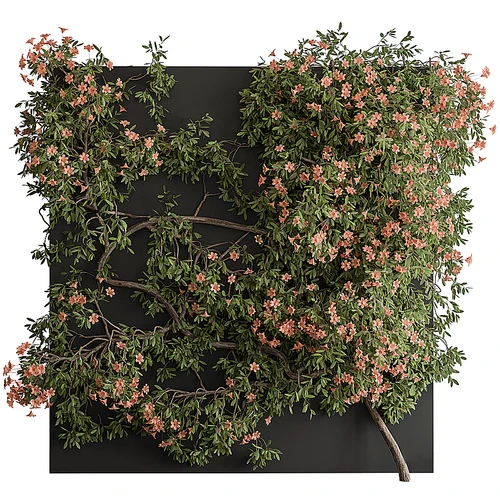 现代植物墙