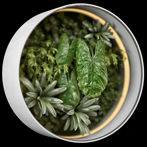 现代圆形植物墙