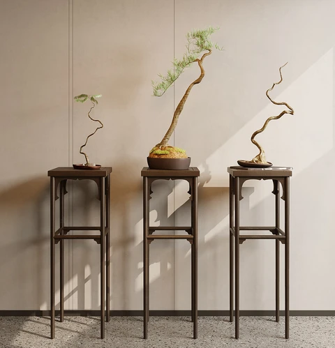 绿植盆栽